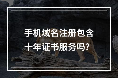手机域名注册包含十年证书服务吗？
