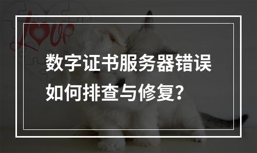 数字证书服务器错误如何排查与修复？