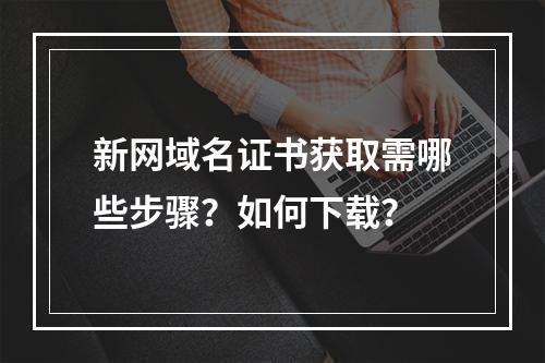 新网域名证书获取需哪些步骤？如何下载？