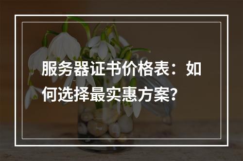 服务器证书价格表：如何选择最实惠方案？