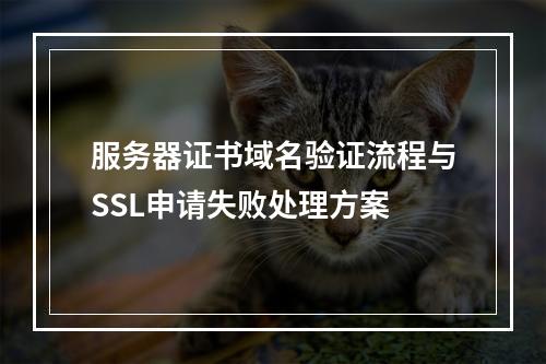 服务器证书域名验证流程与SSL申请失败处理方案
