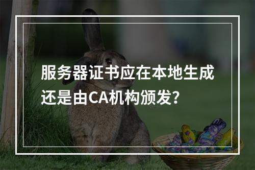 服务器证书应在本地生成还是由CA机构颁发？