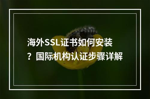 海外SSL证书如何安装？国际机构认证步骤详解