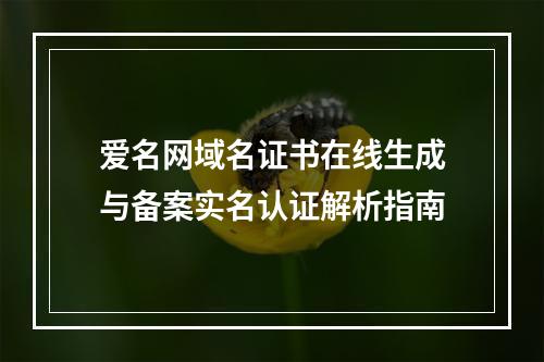 爱名网域名证书在线生成与备案实名认证解析指南