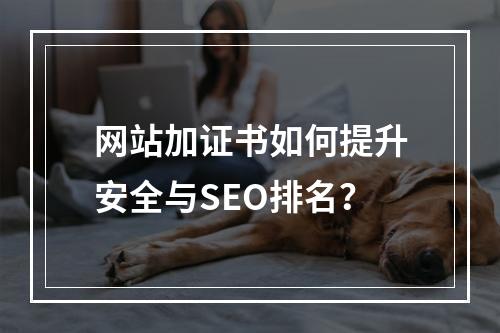 网站加证书如何提升安全与SEO排名？