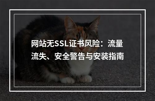 网站无SSL证书风险：流量流失、安全警告与安装指南