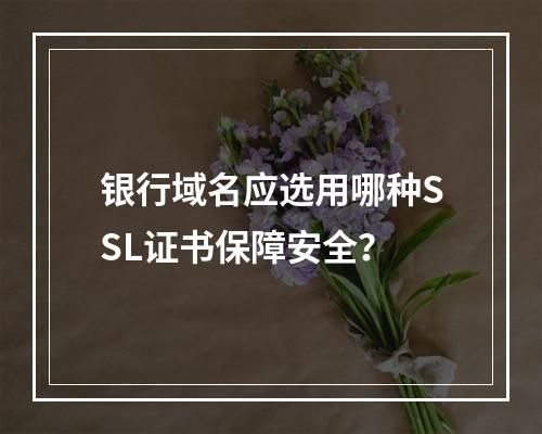 银行域名应选用哪种SSL证书保障安全？