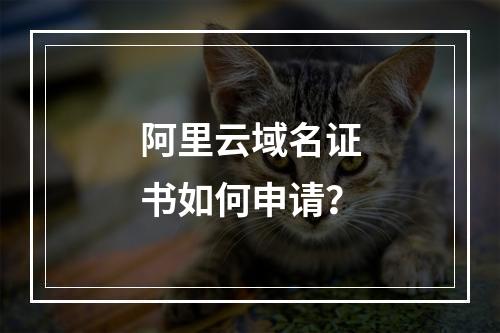 阿里云域名证书如何申请？