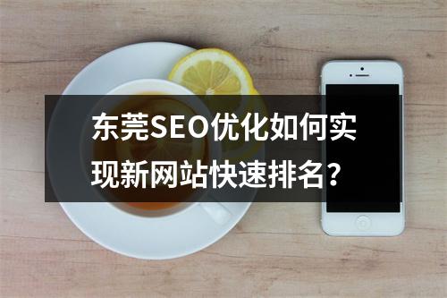 东莞SEO优化如何实现新网站快速排名？