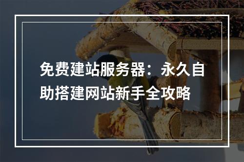 免费建站服务器：永久自助搭建网站新手全攻略