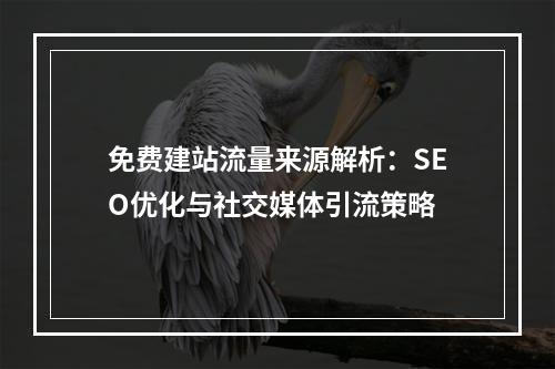 免费建站流量来源解析：SEO优化与社交媒体引流策略
