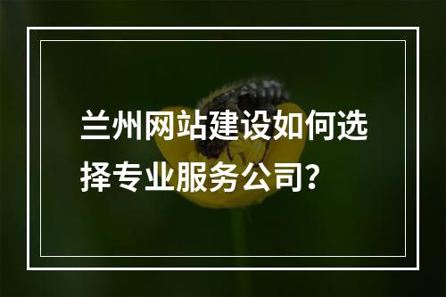 兰州网站建设如何选择专业服务公司？