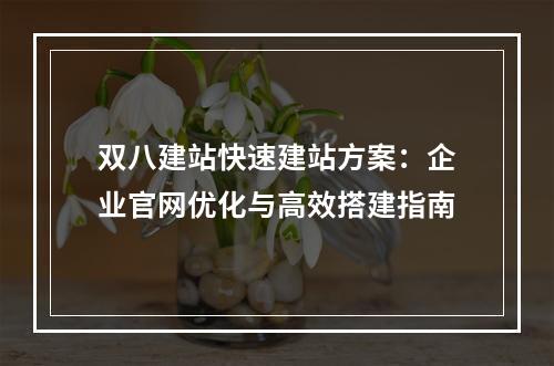 双八建站快速建站方案：企业官网优化与高效搭建指南