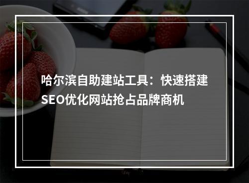 哈尔滨自助建站工具：快速搭建SEO优化网站抢占品牌商机