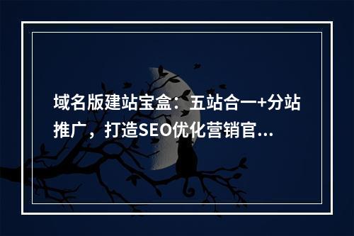 域名版建站宝盒：五站合一+分站推广，打造SEO优化营销官网