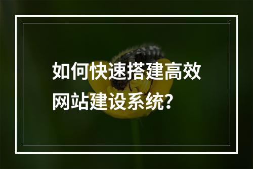 如何快速搭建高效网站建设系统？