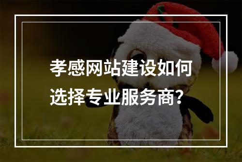 孝感网站建设如何选择专业服务商？