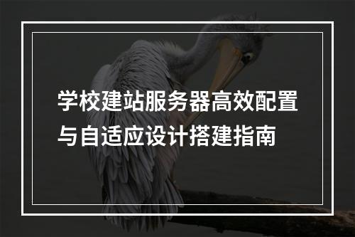 学校建站服务器高效配置与自适应设计搭建指南