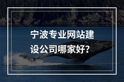 宁波专业网站建设公司哪家好？