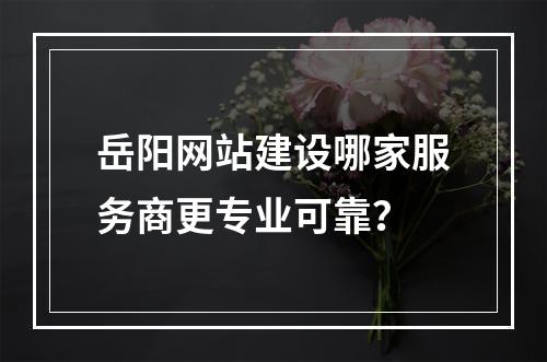 岳阳网站建设哪家服务商更专业可靠？