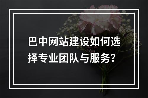 巴中网站建设如何选择专业团队与服务？