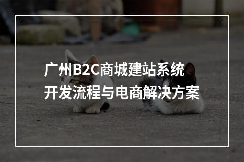 广州B2C商城建站系统开发流程与电商解决方案