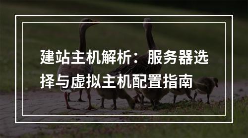 建站主机解析：服务器选择与虚拟主机配置指南