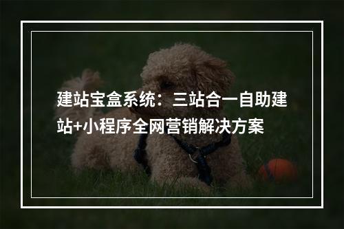 建站宝盒系统：三站合一自助建站+小程序全网营销解决方案