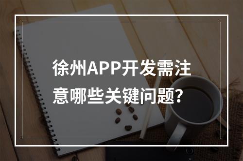 徐州APP开发需注意哪些关键问题？