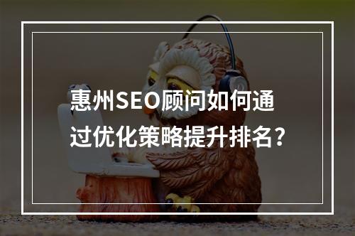 惠州SEO顾问如何通过优化策略提升排名？