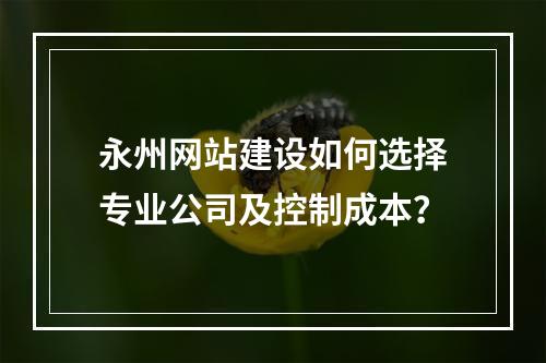 永州网站建设如何选择专业公司及控制成本？