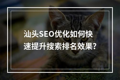 汕头SEO优化如何快速提升搜索排名效果？