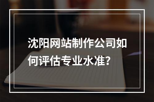 沈阳网站制作公司如何评估专业水准？
