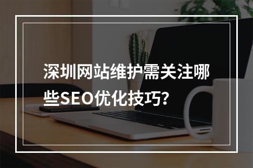 深圳网站维护需关注哪些SEO优化技巧？