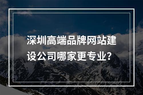 深圳高端品牌网站建设公司哪家更专业？