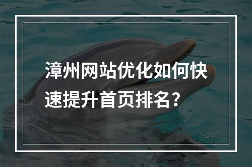 漳州网站优化如何快速提升首页排名？