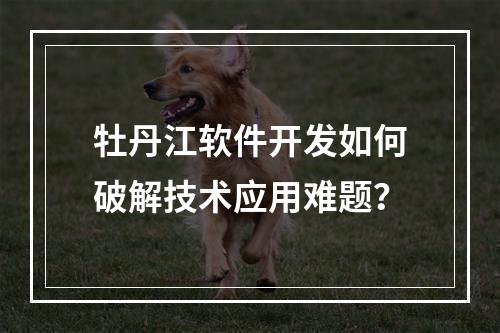 牡丹江软件开发如何破解技术应用难题？