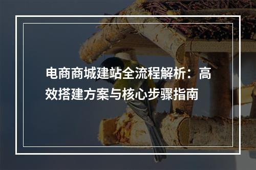 电商商城建站全流程解析：高效搭建方案与核心步骤指南