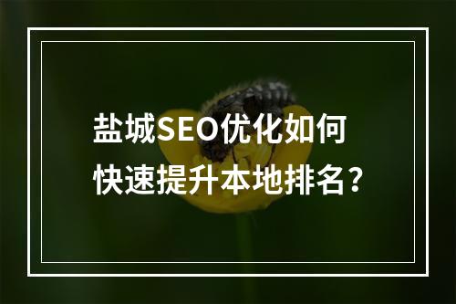 盐城SEO优化如何快速提升本地排名？