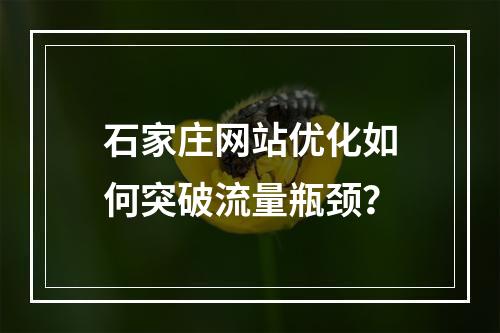 石家庄网站优化如何突破流量瓶颈？