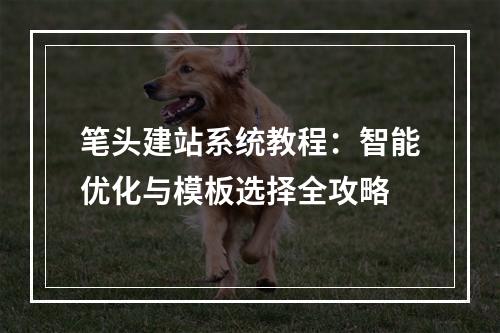 笔头建站系统教程：智能优化与模板选择全攻略
