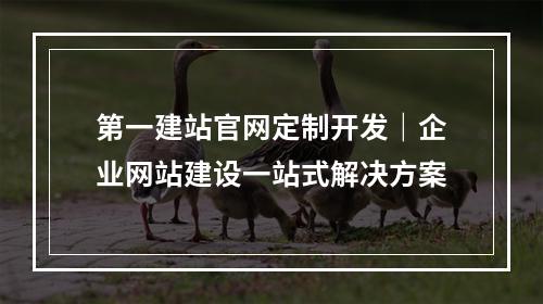 第一建站官网定制开发｜企业网站建设一站式解决方案