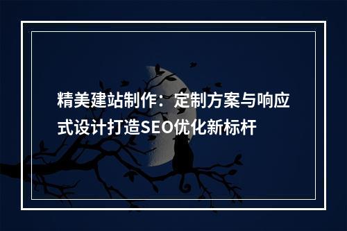精美建站制作：定制方案与响应式设计打造SEO优化新标杆