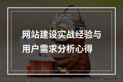 网站建设实战经验与用户需求分析心得
