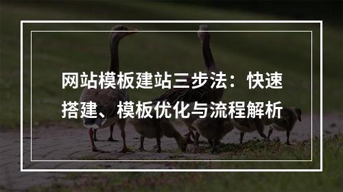 网站模板建站三步法：快速搭建、模板优化与流程解析