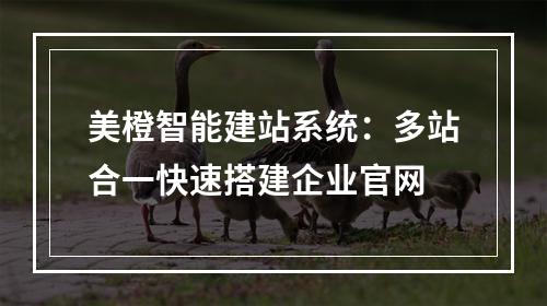 美橙智能建站系统：多站合一快速搭建企业官网