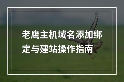 老鹰主机域名添加绑定与建站操作指南