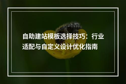 自助建站模板选择技巧：行业适配与自定义设计优化指南