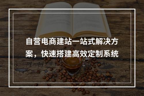 自营电商建站一站式解决方案，快速搭建高效定制系统