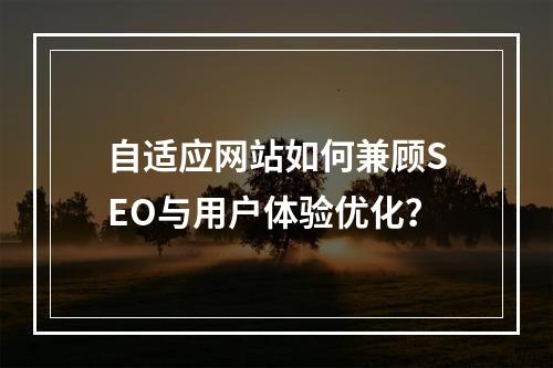自适应网站如何兼顾SEO与用户体验优化？